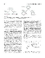 Bhagavan Medical Biochemistry 2001, page 583